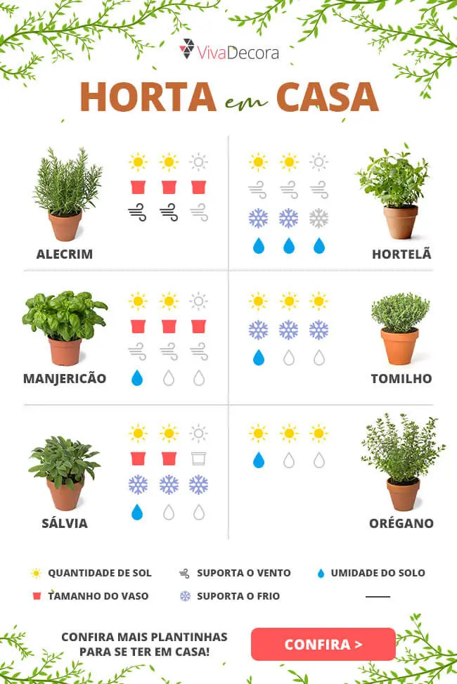 Como Fazer Uma Horta De Temperos Click Seg